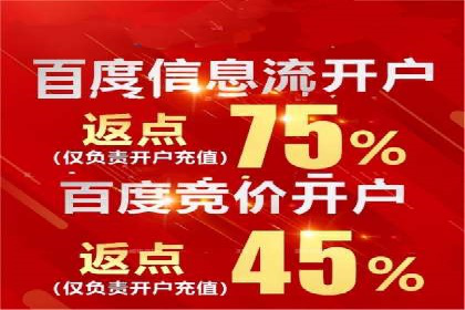 行业领先企业的关键词竞价排名实战案例